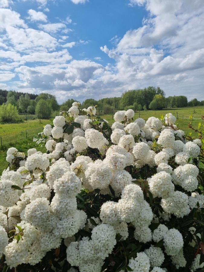 Woodhouse Spreewiesen Burig Zewnętrze zdjęcie